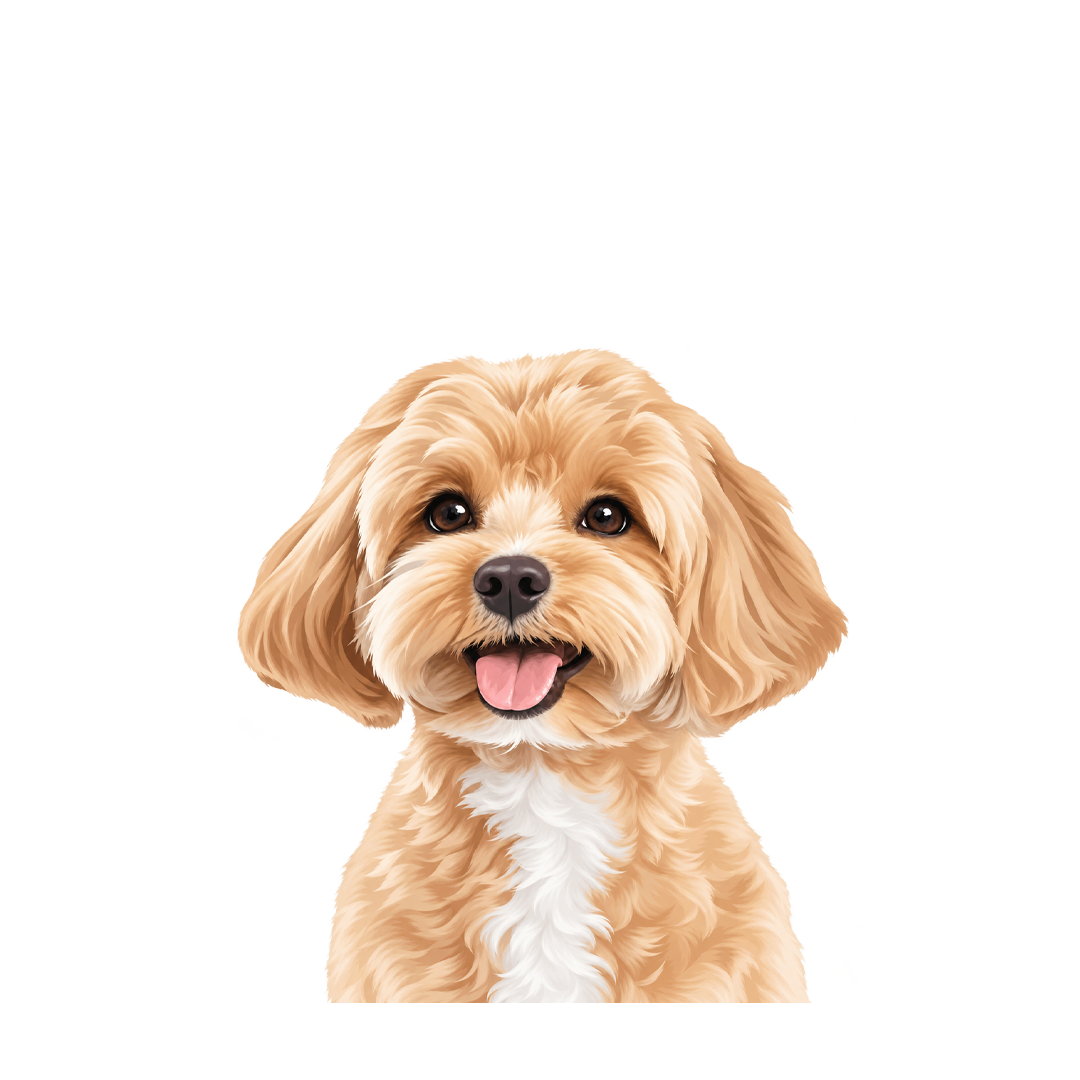 Modern Custom Pet Portrait preview